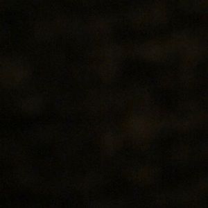 Meet your Posher, Bailey